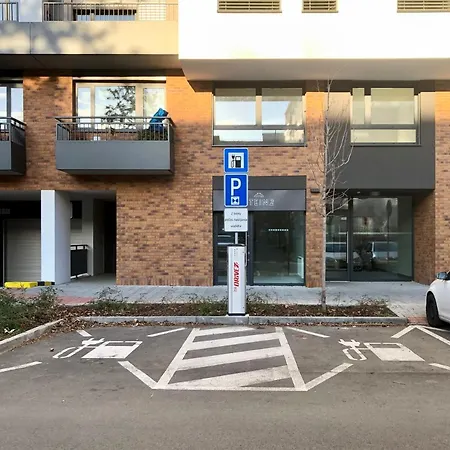 House Of Beer - Stein