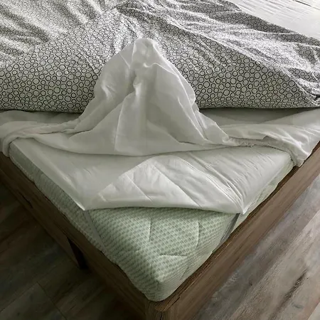 Apartament House Of Beer - Stein *