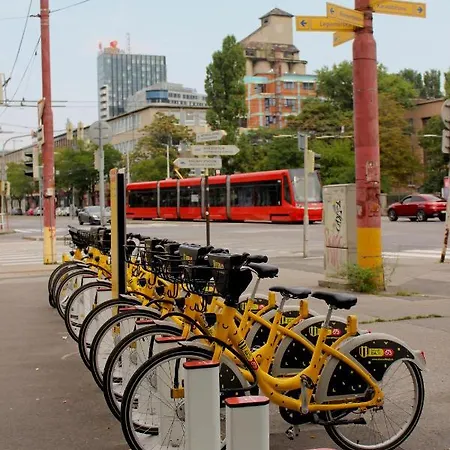 House Of Beer - Stein Apartament
